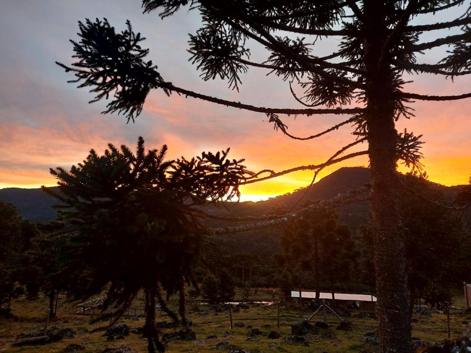 Monte Siao Chateau Urubici Kültér fotó