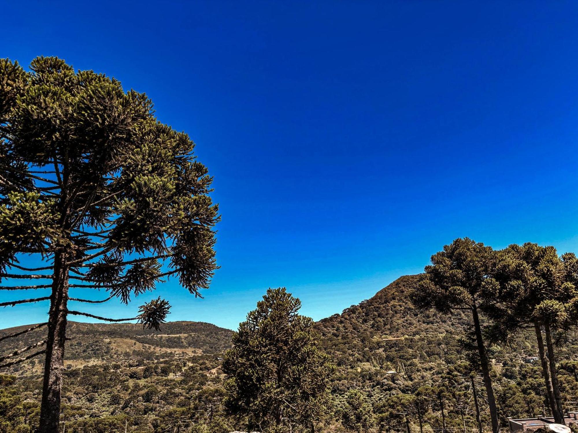 Monte Siao Chateau Urubici Kültér fotó