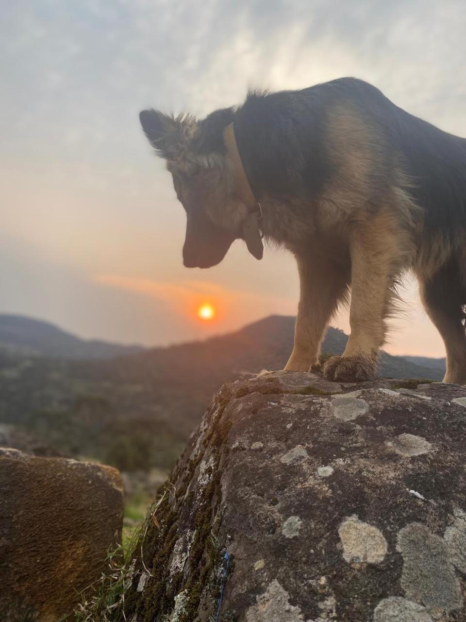 Monte Siao Chateau Urubici Kültér fotó